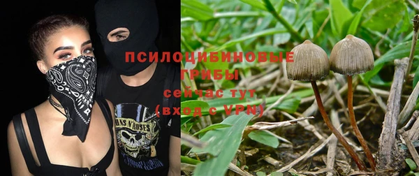 гашиш Балахна