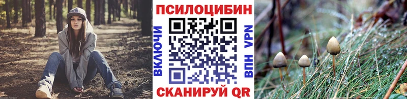 Галлюциногенные грибы мицелий площадка Telegram Гатчина цена