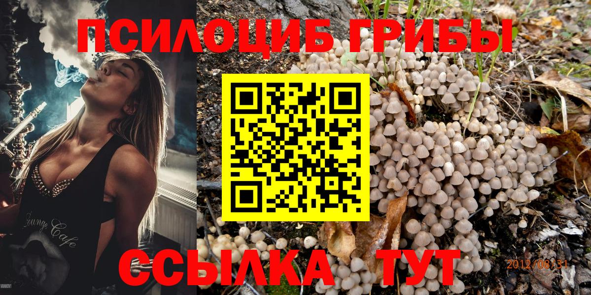 Псилоцибиновые грибы MAGIC MUSHROOMS Гатчина