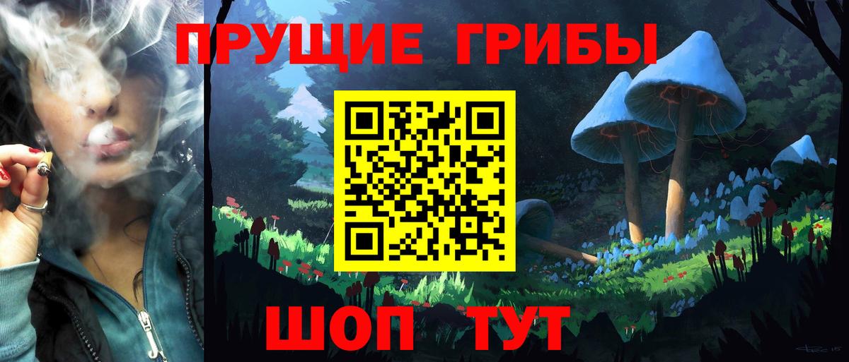 Псилоцибиновые грибы Psilocybine cubensis  Псилоцибиновые грибы Psilocybe  Гатчина  Вход с VPN 