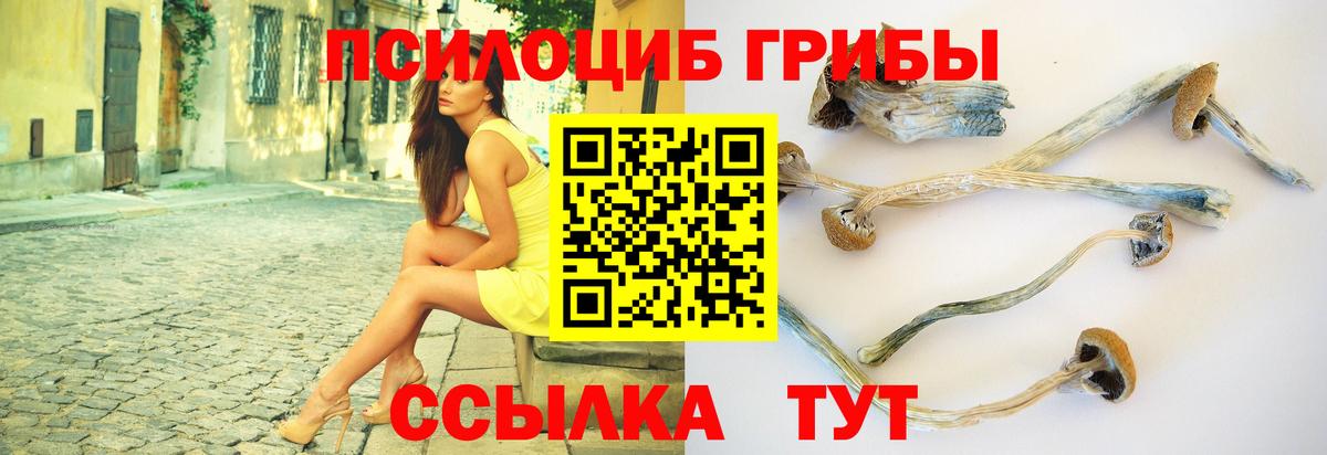 Меф мяу мяу Гатчина