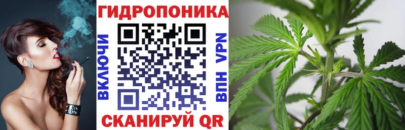 где купить наркоту  Гатчина  Бошки Шишки THC 21% 
